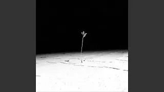 Forfall