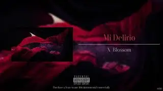 C. Tangana - El Madrile&ntilde;o Type Beat | Flamenco/Reggaeton Instrumental (Prod. By X Blossom)