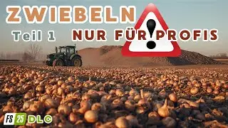 Zwiebeln pro Hektar, Anbau und Verarbeitung - Farming Simulator 25, FS25, Tipps, Tricks, Guide