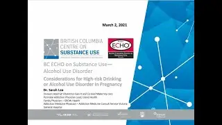Considerations for High-risk Drinking or Alcohol Use Disorder in Pregnancy (AUD ECHO)