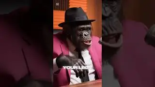 Chimp Check: A Monkey&rsquo;s Take on the Internet&rsquo;s Craziest Trends