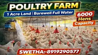 Swetha:8919290577||6000 Poultry Capacity||Agriculture land sale||1 Acre #poultry #youtube #farming