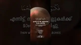 Reality of life