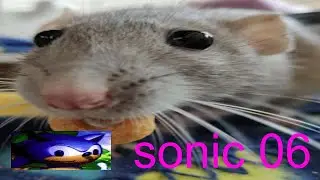 rat 06 featuring sanic_bum (sonic 06 stream highlights)
