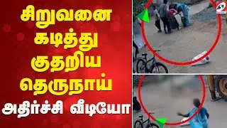 சிறுவனை கடித்து குதறிய தெருநாய் - அதிர்ச்சி வீடியோ | Street Dog Attack | Ramanathapuram |