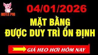 Gi&aacute; heo hơi h&ocirc;m nay 04/01/2026| MẶT BẰNG DUY TR&Igrave; ỔN ĐỊNH | md12pig #giaheohoihomnay #giaheohoi