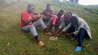 Kisii comedy