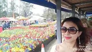 Floriade Festival Canberra 2019