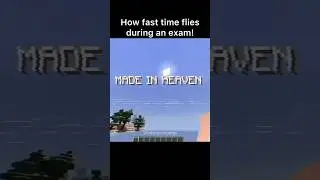 Made In Heaven Minecraft