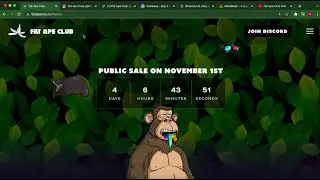 Fat Ape NFT Launch Video!