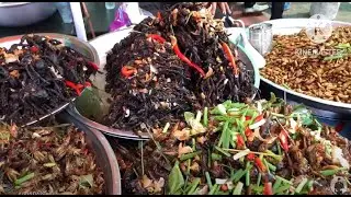 Most Popular Cambodian Bizarre Foods | Fried Wild Spider, Scorpion, Cricket, Silkworm, Bug & More