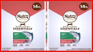 NUTRO WHOLESOME ESSENTIALS Adult Dry Cat Food, Salmon & Brown Rice Recipe