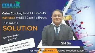 Solution~EDULUX~