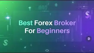 Best Forex Broker For Beginners | Forexbeginner.live