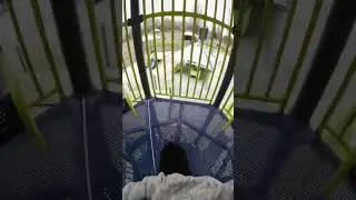 Frozen Playground POV