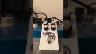 GuitarPCB.com Mastodon Fuzz