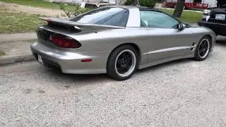 Trans am walk around