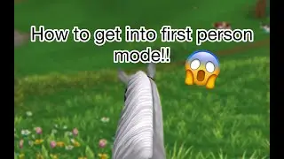 How To Get Into First Person Mode In Star Stable Online!