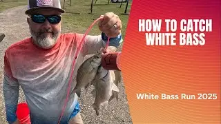 The Ultimate Guide to Catching Texas White Bass