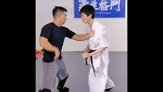 Wing Chun vs ITF TKD, WT Taekwondo, and Kyokushin