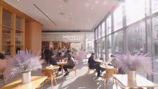 Bright & Peaceful Cafe Background Music for Relax, Focus & Work 🌿☀️ | Cafe Note Ambience