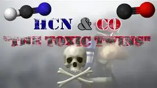 Patented Protection Against the Deadly Cocktail of CO & HCN: 