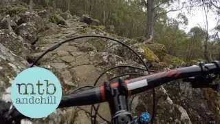Mountain Biking The North South Track Tasmania (UPPER SECTION)