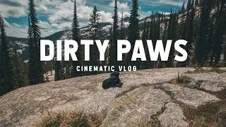 Dirty Paws - Canon SL2 Cinematic Video