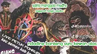 ndadine banteng suro kewan alas satrio manggolo mudho ft bilqis audio - live puhrubuh semen kediri 