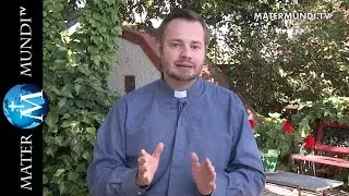 El P. Jesús Silva responde: El aborto y la vida