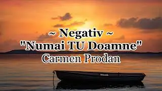 Negativ - Numai TU Doamne - Carmen Prodan