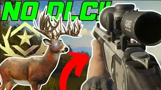 BUY THESE NON DLC GUNS FIRST!! (2025) - Call of the Wild