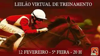 13 PARADA OBRIGATÓRIA