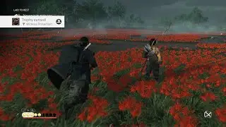 Ghost of Tsushima - (Witness Protection) Trophy Guide