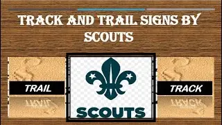 Track and Trail by scouts