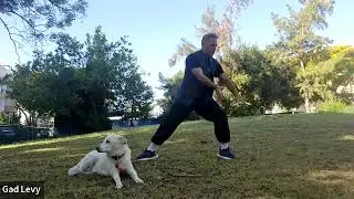 UNLOCKING THE POWER OF CHI | FINDING INNER PEACE with SIFU GADI LEVY GOLAN