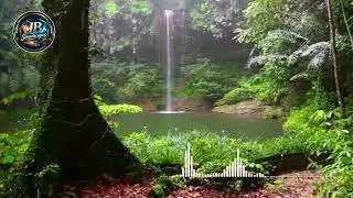 Relaxing Music | Nature with Blooming Ambient Soundscape for Stress Relief & Deep Sleep (3)