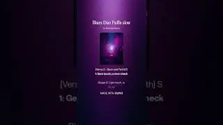 Blues Duo Puffn slow  #Music#NewMusic#MusicVideo#Singer#Song#MusicLover#InstaMusic#MusicIsLife