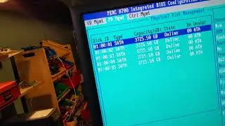 Контроллер RAID Dell H700 10 ТБ Seagate Ironwolf, да, работает