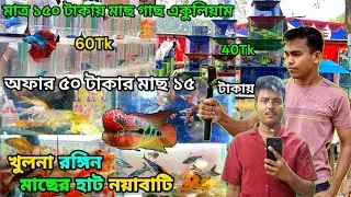 খুলনা রঙিন মাছের হাট নয়াবাটি aquarium fish price ni Bangladeshরঙিন মাছের দোকান aquarium fish price 