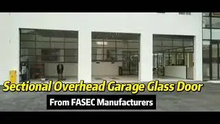Transparent Sectional Overhead Garage Glass Door & Modern Garage Doors Design