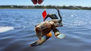 Had To Resort To The Best Bait… Catch - Cook