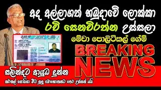 Braking News | අල්ලපු යුධහමුදාවේ ලුතිනල් කර්නල් රවි සෙනවිරත්න උස්සලා #saliyat  &nbsp;#followers