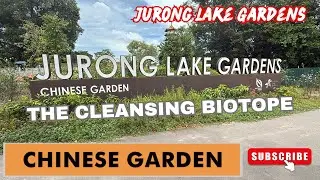 The cleansing biotope at the Chinese Garden in Jurong Lake Gardens 4K #chinesegarden #JLG #sg