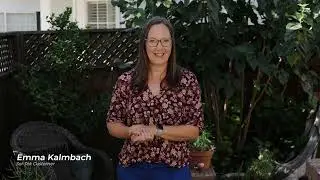 Residential Client Testimonial  | Why Emma Chose Sol-Tek Solar