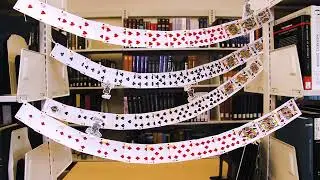 Wallace Library According to Lily | A Short Documentary