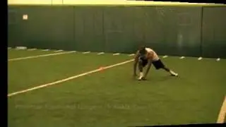 Functional Dynamic Warm Up