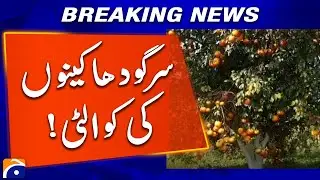 Sargodha Orange: A Variety of Delicious and Flavorful Citrus | Geo News