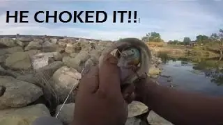 Fishing Cranks and Jigs for early fall bass!!