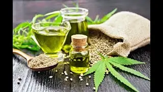 Hemp Oil Manitoba Harvest, Hemp Oil Walmart